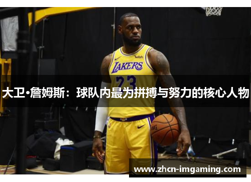 大卫·詹姆斯：球队内最为拼搏与努力的核心人物
