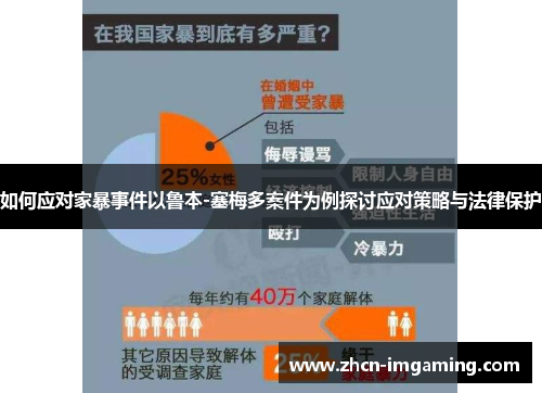 如何应对家暴事件以鲁本-塞梅多案件为例探讨应对策略与法律保护