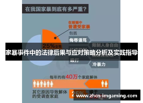 家暴事件中的法律后果与应对策略分析及实践指导
