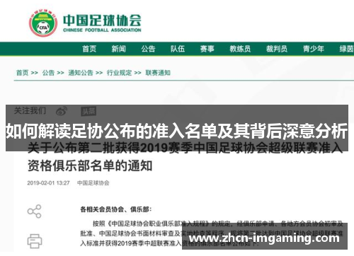 如何解读足协公布的准入名单及其背后深意分析
