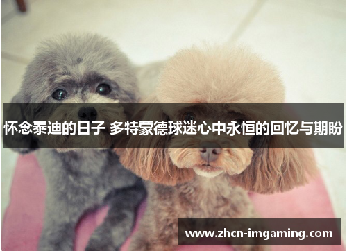 怀念泰迪的日子 多特蒙德球迷心中永恒的回忆与期盼