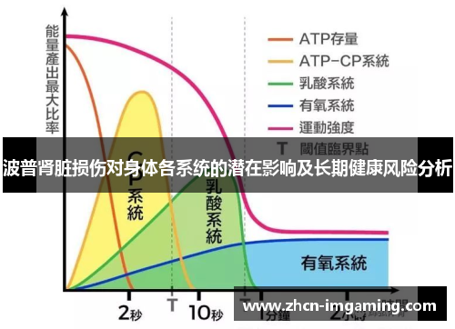 波普肾脏损伤对身体各系统的潜在影响及长期健康风险分析