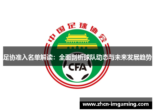 足协准入名单解读:全面剖析球队动态与未来发展趋势
