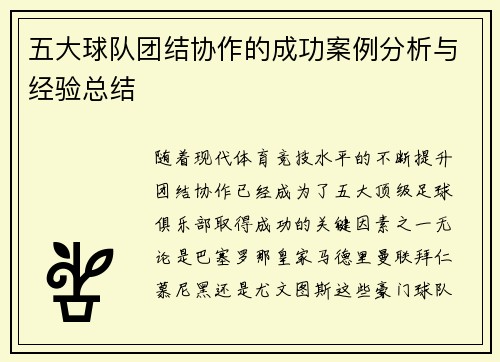 五大球队团结协作的成功案例分析与经验总结